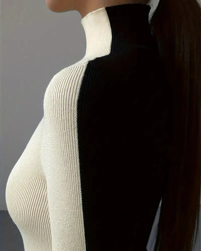 The Reversible Turtleneck